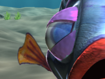 Little Fish