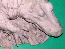 Alligator